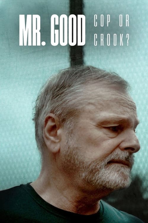 Mr. Good Cop or Crook? : 1.Sezon 1.Bölüm