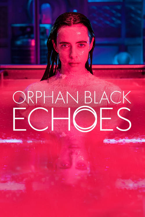 Orphan Black Echoes : 1.Sezon 5.Bölüm