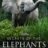 Secrets of the Elephants : 1.Sezon 1.Bölüm izle