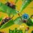 A Real Bug’s Life : 2.Sezon 5.Bölüm izle