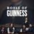 House of Guinness : 1.Sezon 8.Bölüm izle